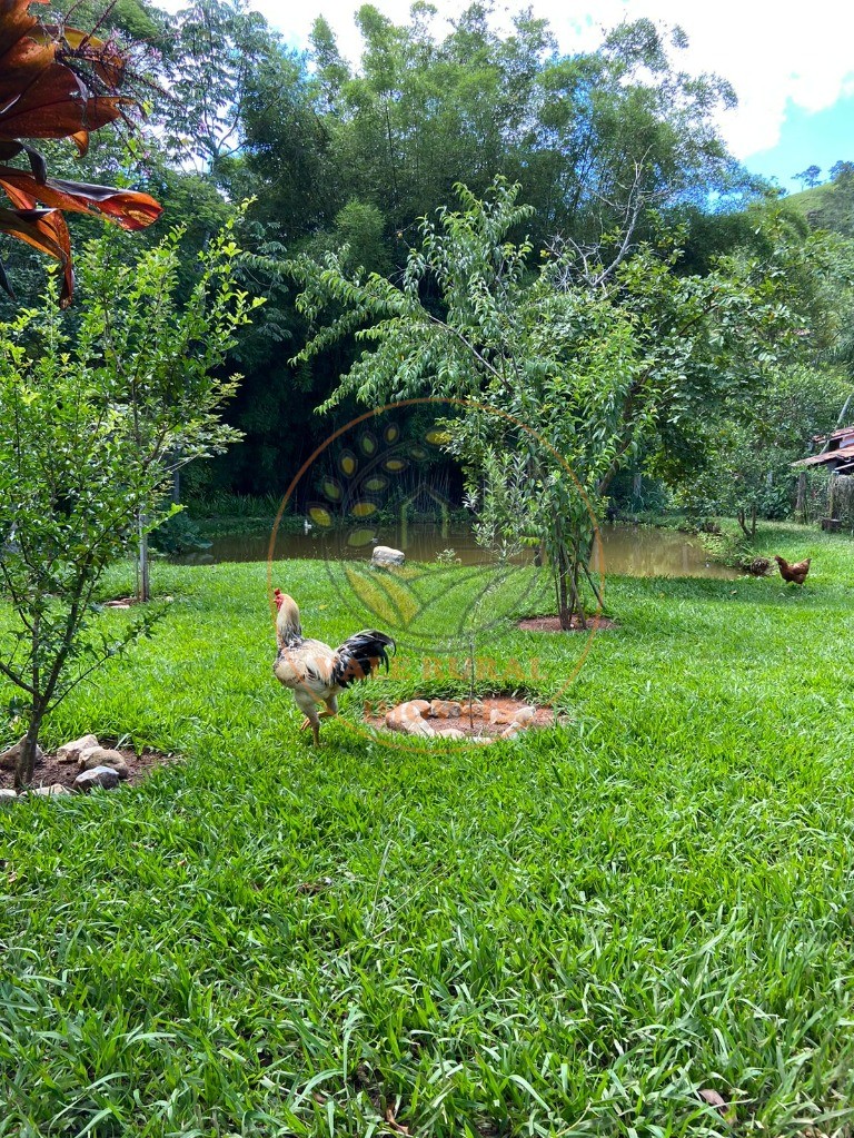 Chácara, 3 quartos - Foto 2