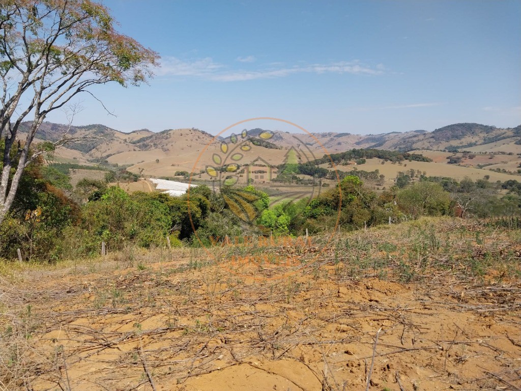 Fazenda - Foto 3