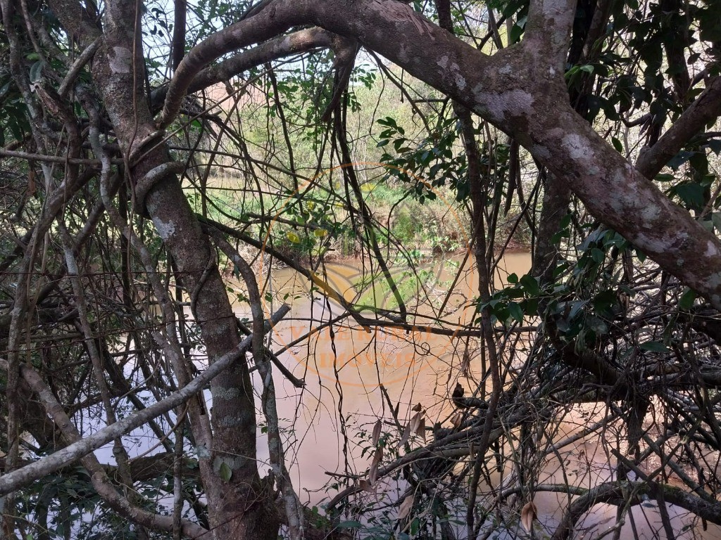 Fazenda - Foto 15
