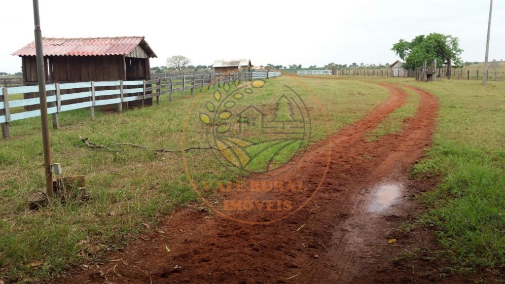Fazenda, 2 quartos - Foto 5