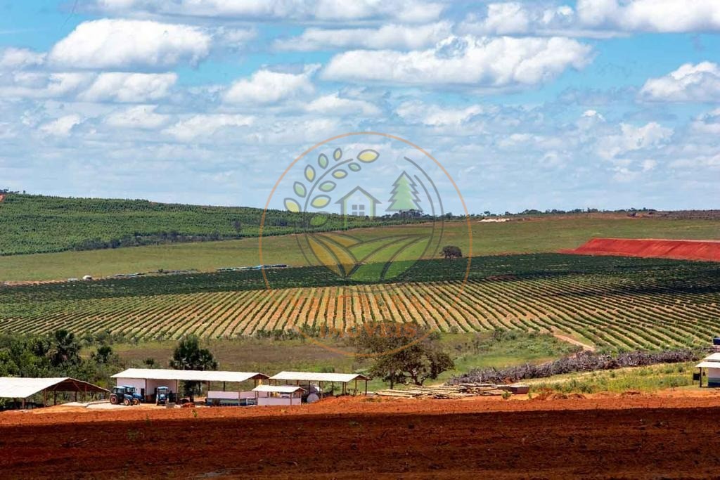Fazenda, 1 quarto - Foto 4