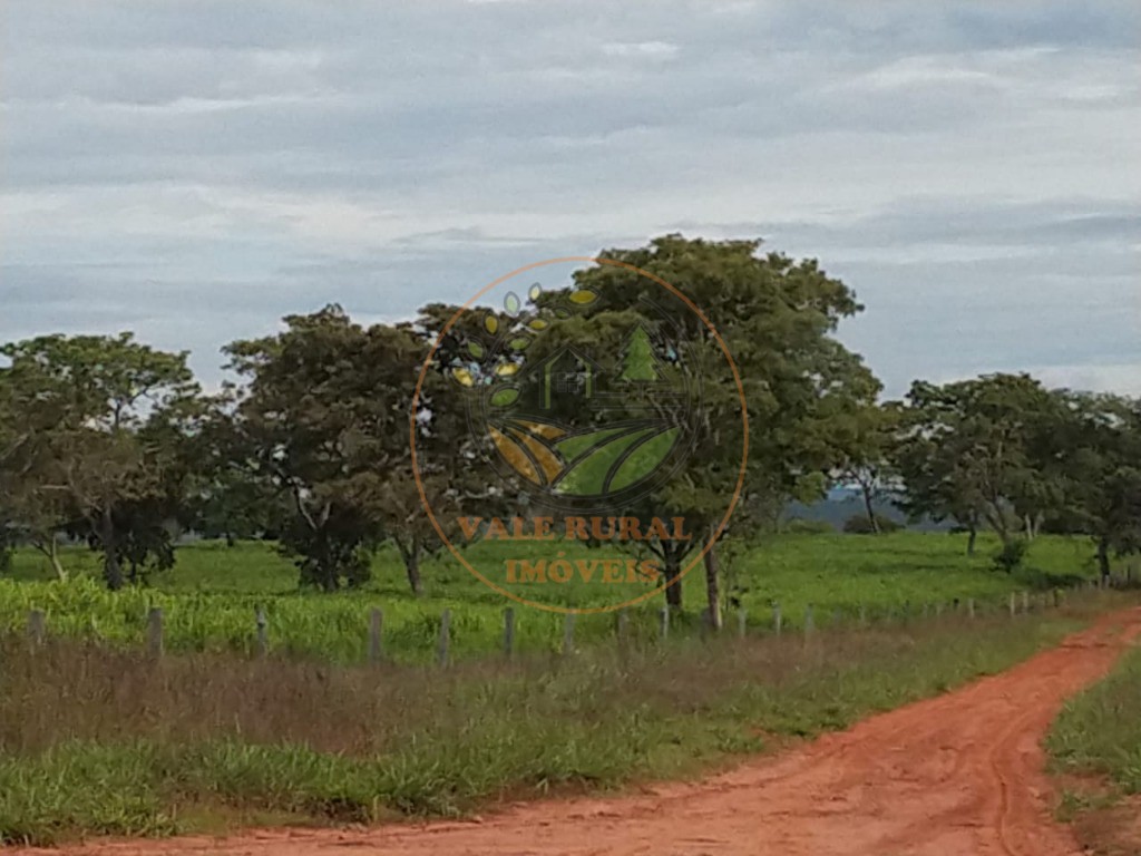 Fazenda, 2 quartos - Foto 25