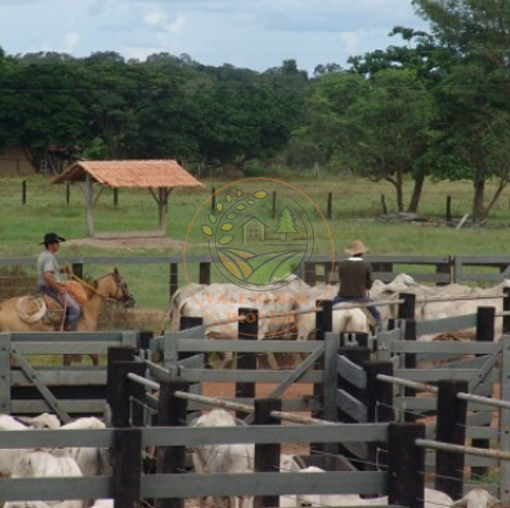 Fazenda, 2 quartos - Foto 3