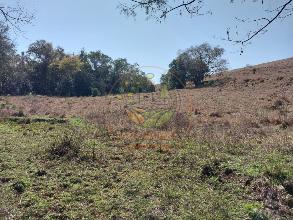 Fazenda - Foto 7