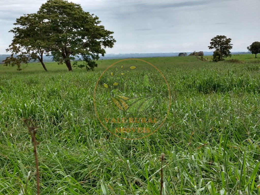 Fazenda, 2 quartos - Foto 20