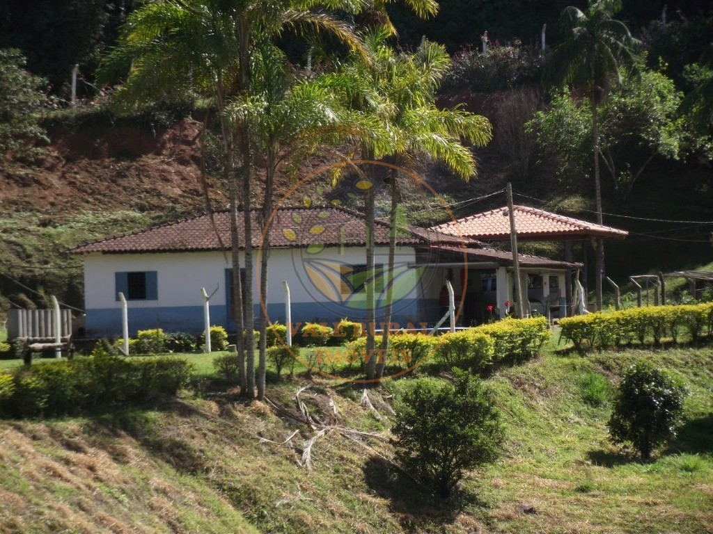 Chácara, 3 quartos - Foto 1