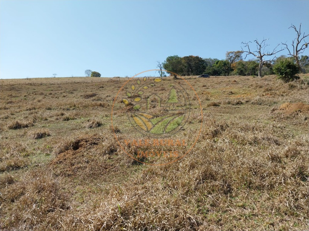 Fazenda - Foto 18