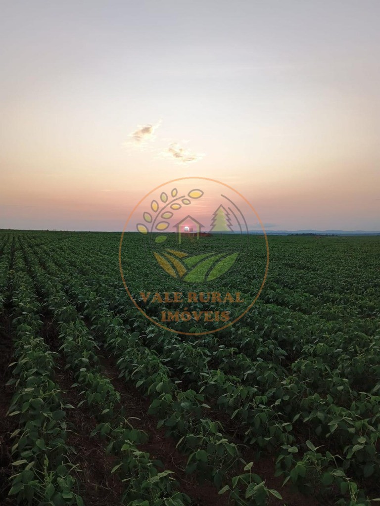 Fazenda - Foto 3