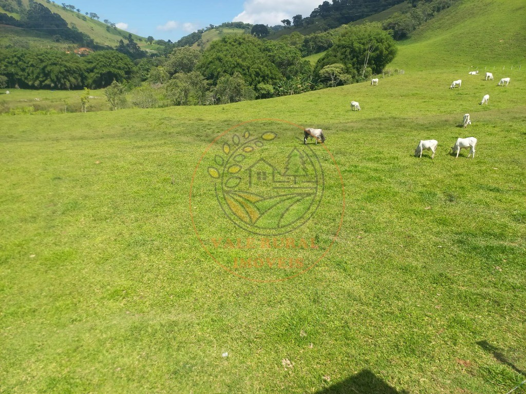 Fazenda, 2 quartos - Foto 14
