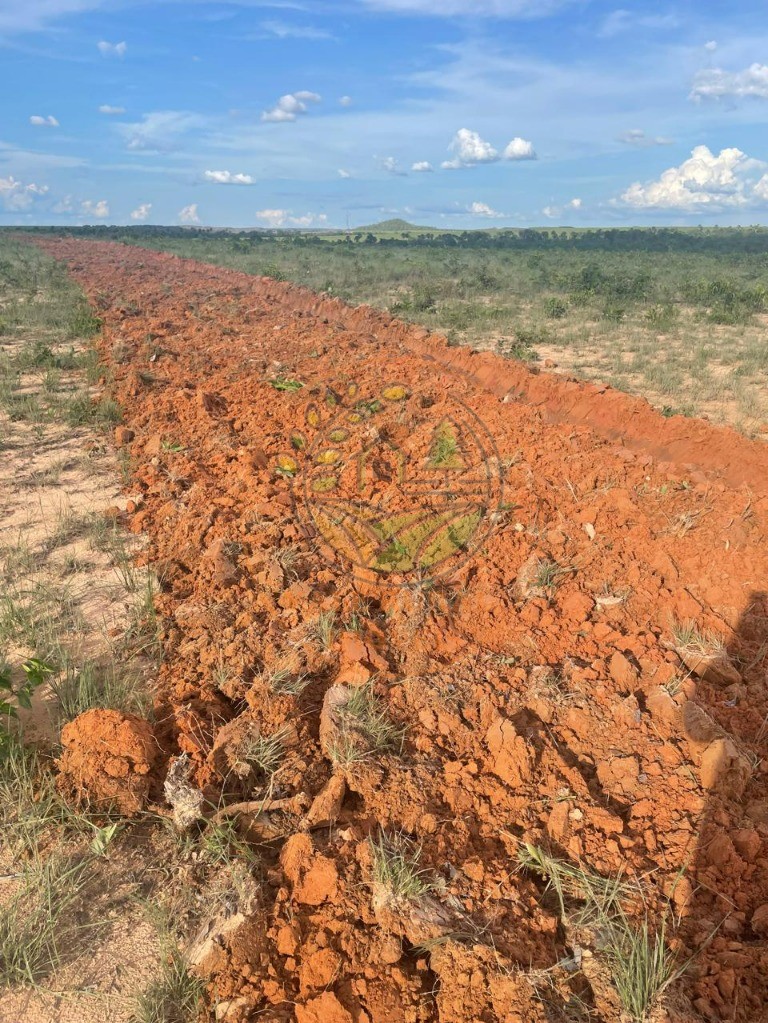 Fazenda - Foto 6