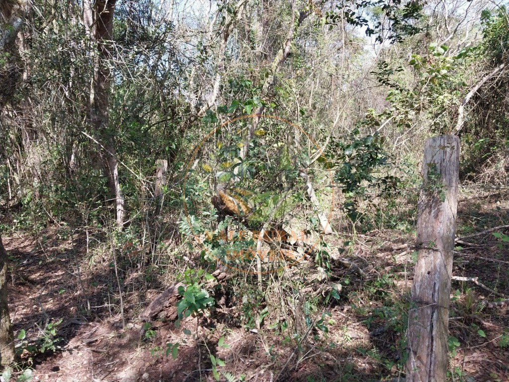Fazenda - Foto 12