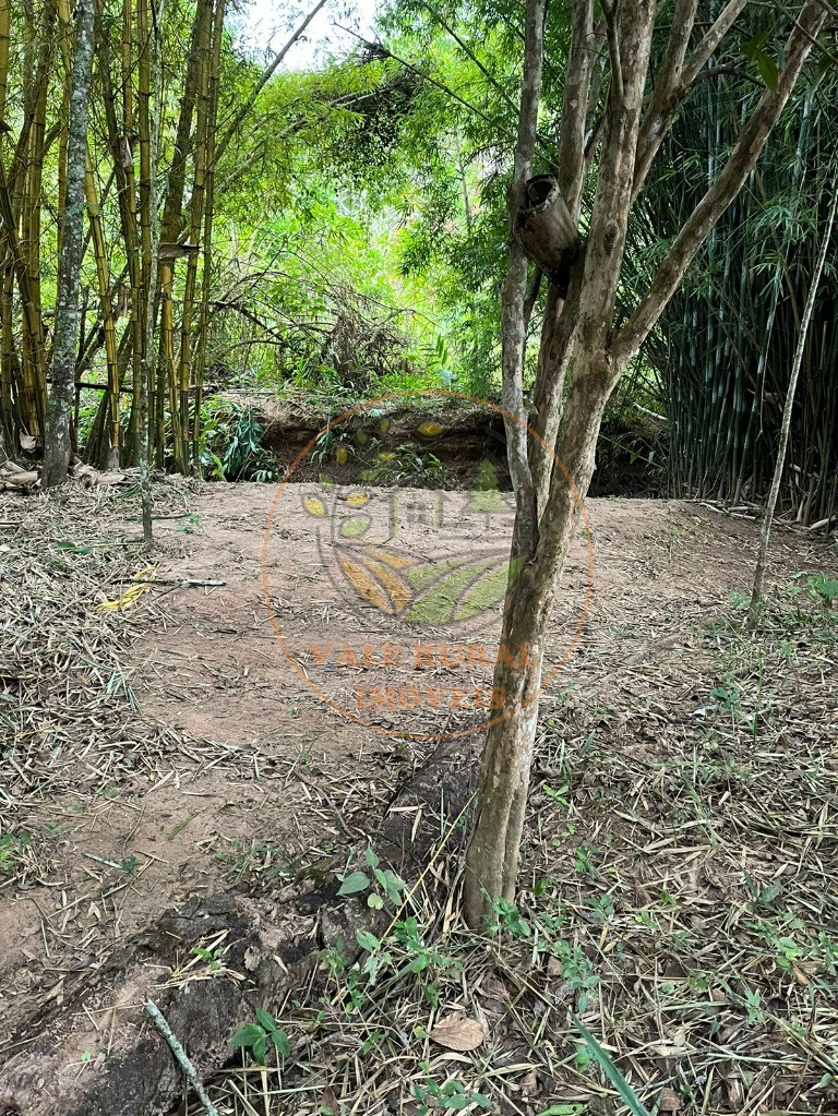 Chácara, 3 quartos - Foto 10