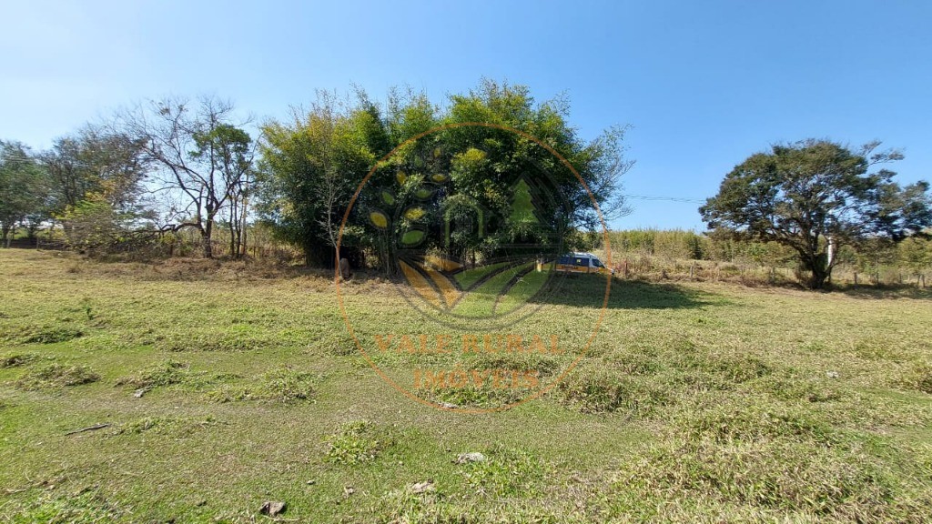 Fazenda - Foto 3