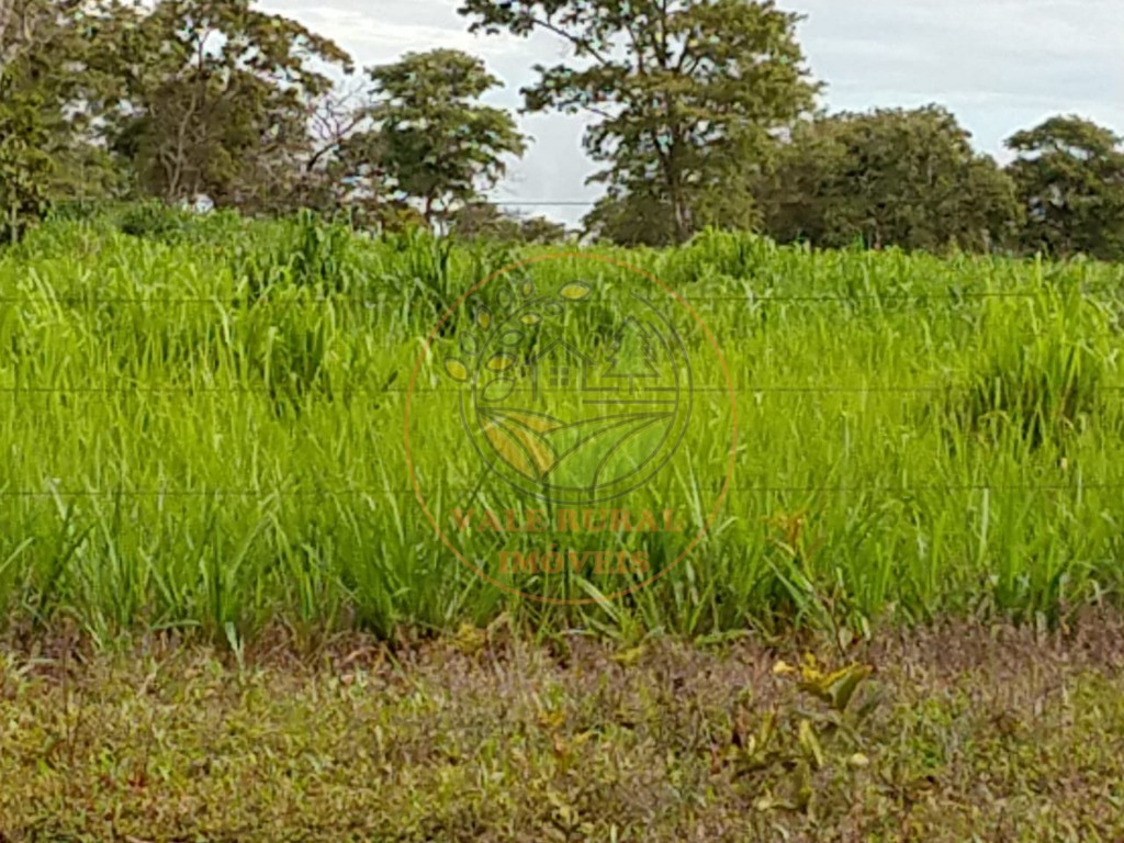 Fazenda, 2 quartos - Foto 18