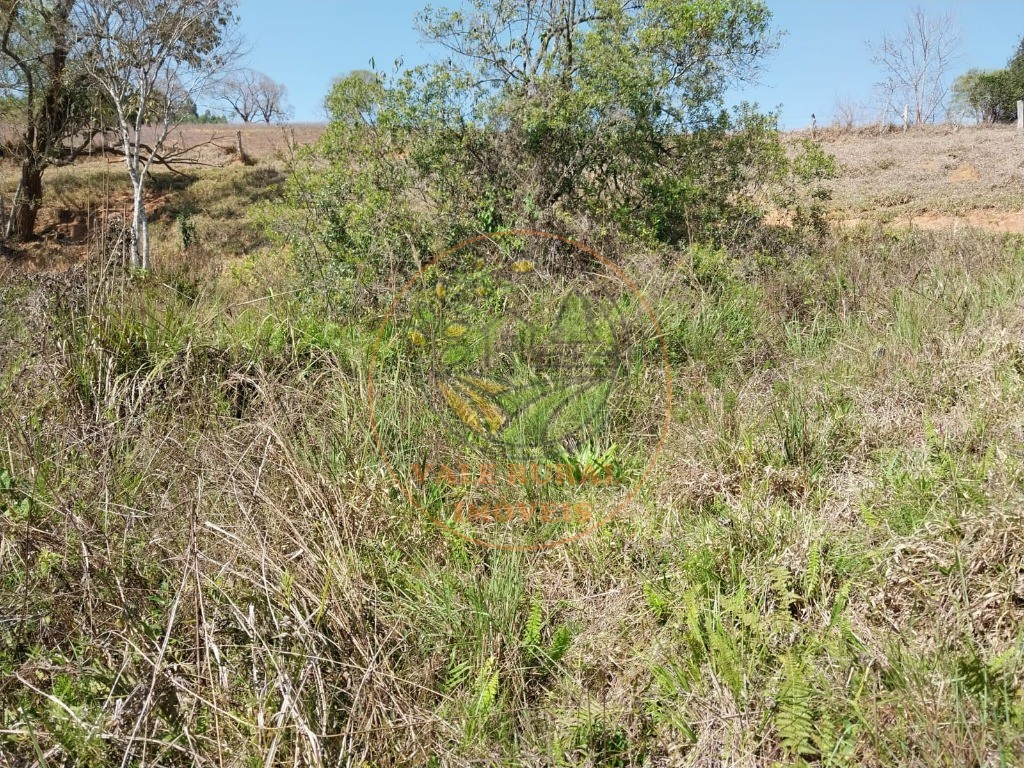 Fazenda - Foto 19