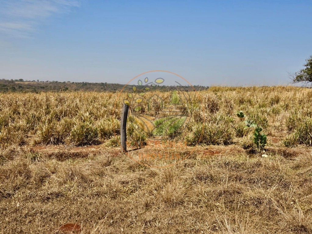 Fazenda, 2 quartos - Foto 6