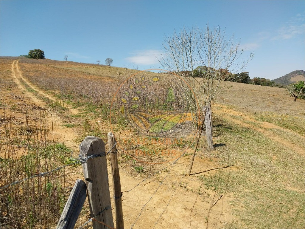 Fazenda - Foto 23