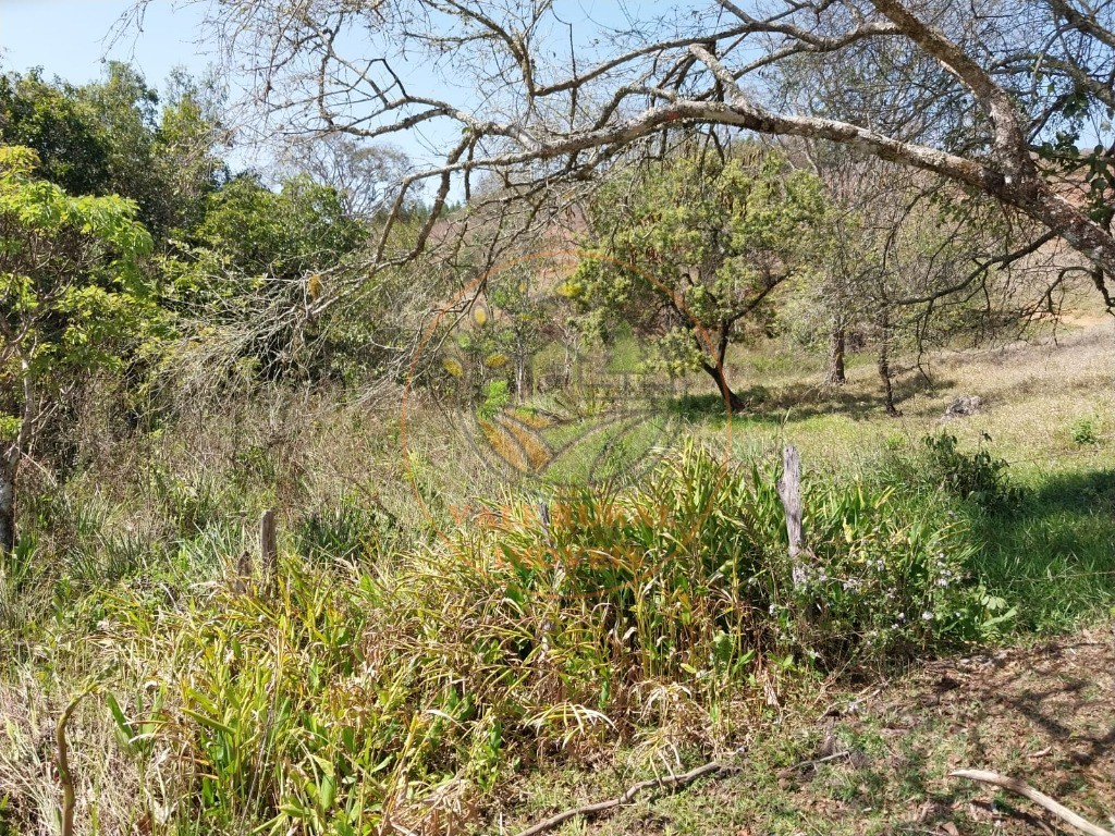 Fazenda - Foto 20