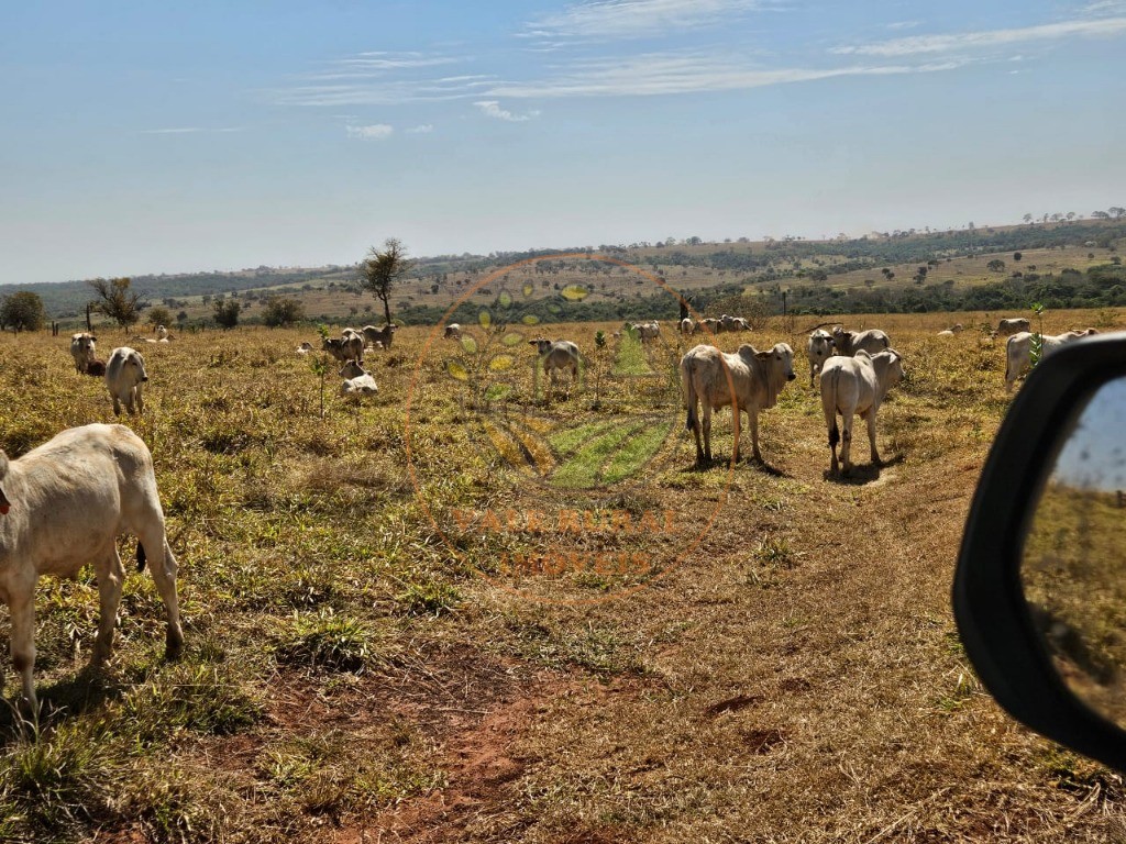 Fazenda, 2 quartos - Foto 2