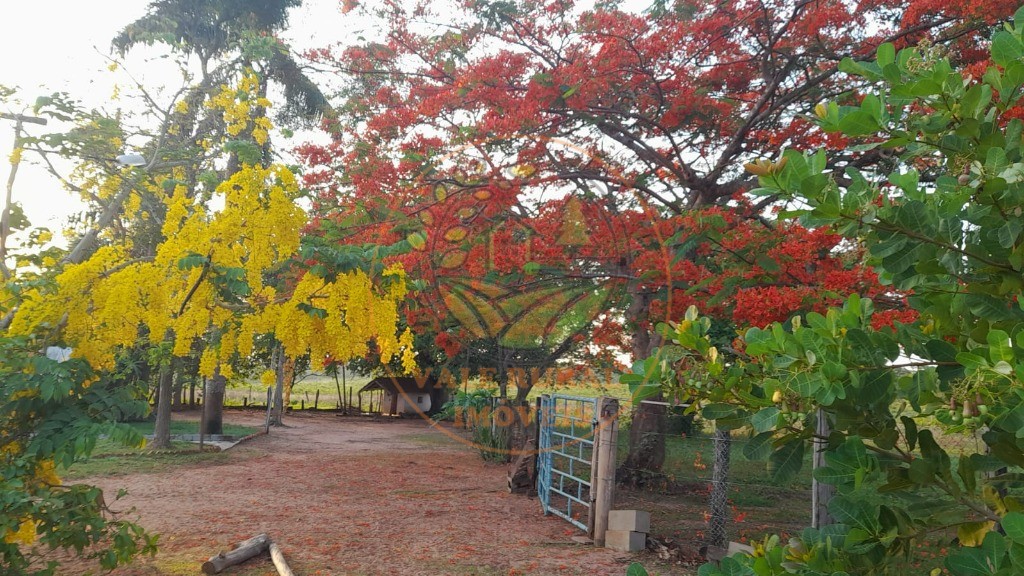 Fazenda, 2 quartos - Foto 30