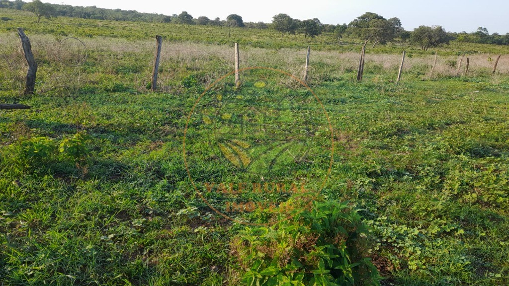 Fazenda, 2 quartos - Foto 23