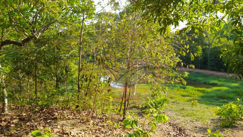 Fazenda, 2 quartos - Foto 2