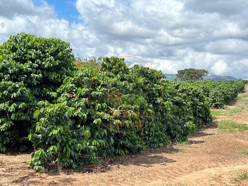 Fazenda, 4 quartos - Foto 36
