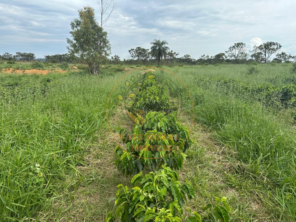 Fazenda, 4 quartos - Foto 26