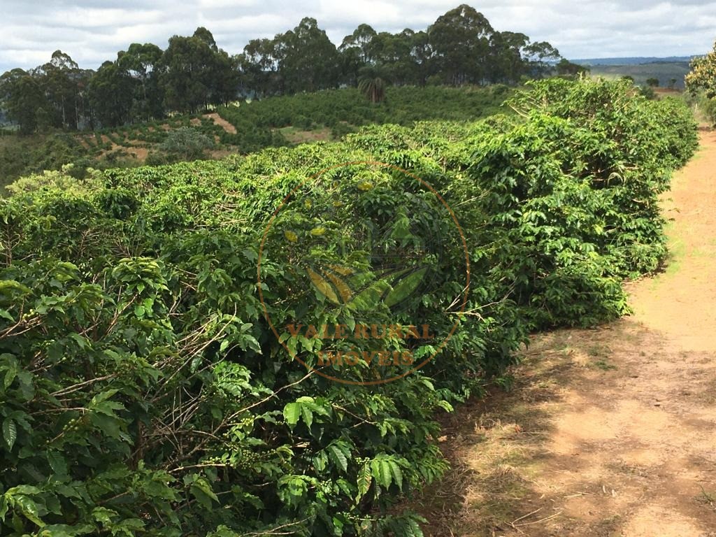 Fazenda, 4 quartos - Foto 18
