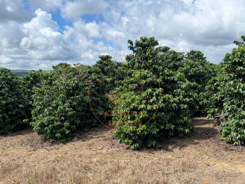 Fazenda, 4 quartos - Foto 32