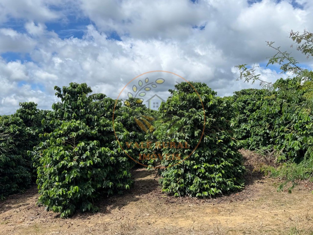 Fazenda, 4 quartos - Foto 30
