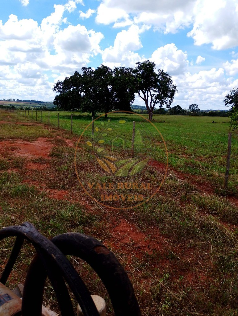 Fazenda, 2 quartos - Foto 10