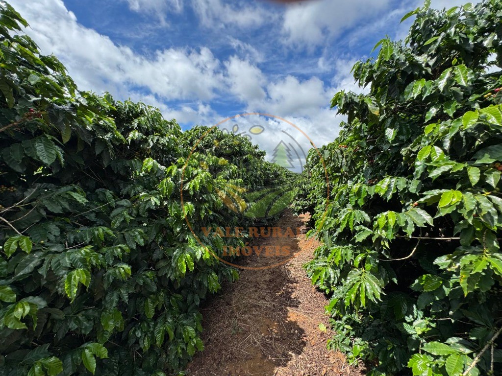 Fazenda, 4 quartos - Foto 5