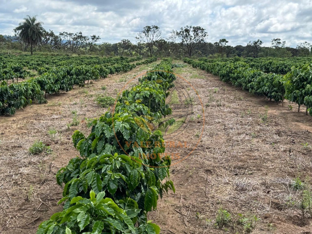 Fazenda, 4 quartos - Foto 34