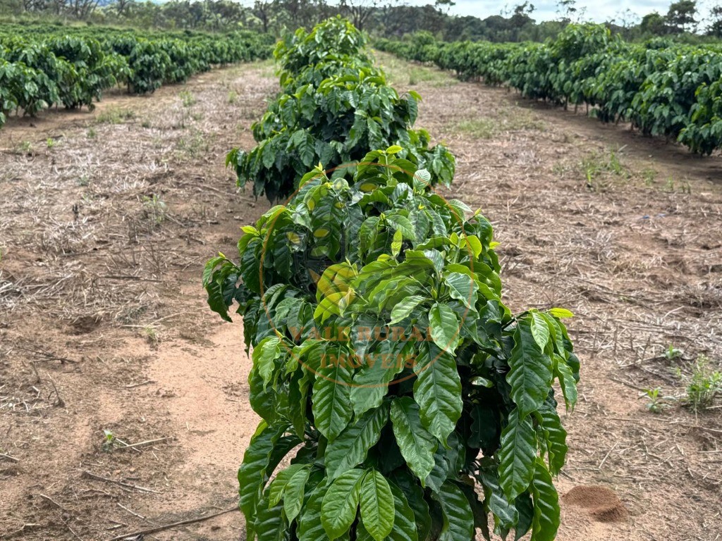 Fazenda, 4 quartos - Foto 35