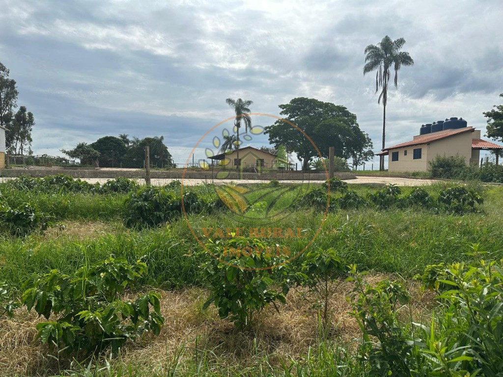 Fazenda, 4 quartos - Foto 12
