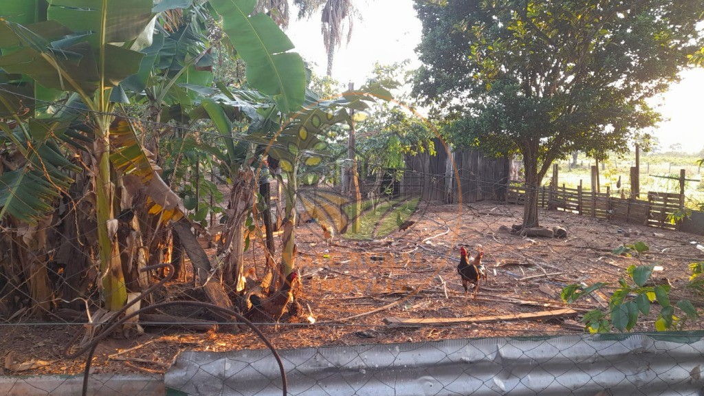 Fazenda, 2 quartos - Foto 35