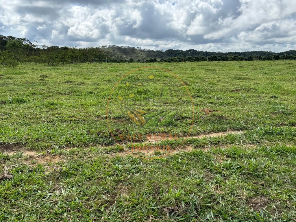 Fazenda, 4 quartos - Foto 14