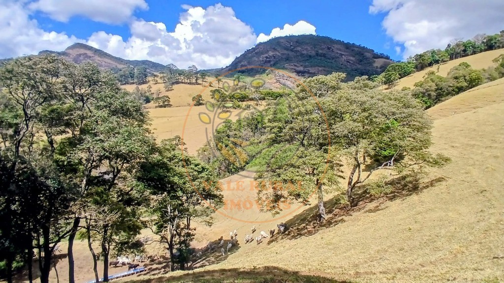 Fazenda, 2 quartos - Foto 5