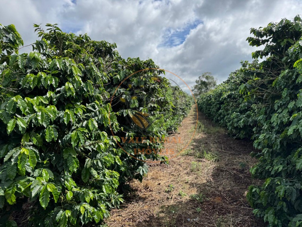 Fazenda, 4 quartos - Foto 1