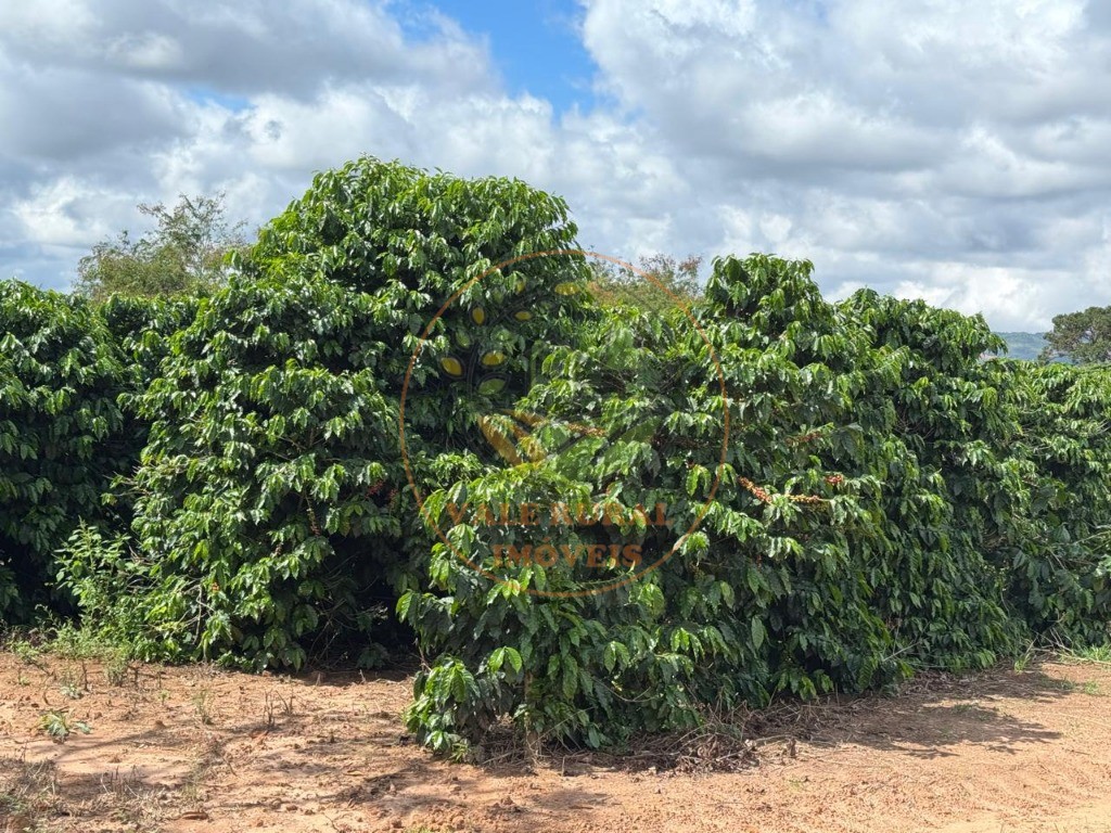 Fazenda, 4 quartos - Foto 6