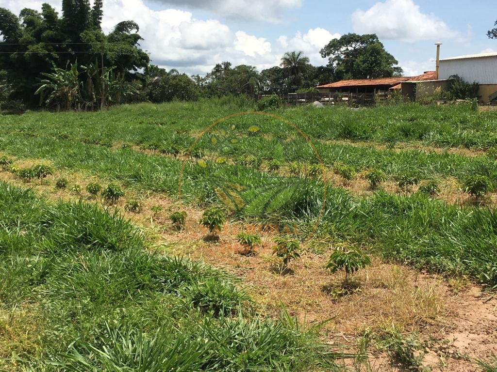 Fazenda, 4 quartos - Foto 19