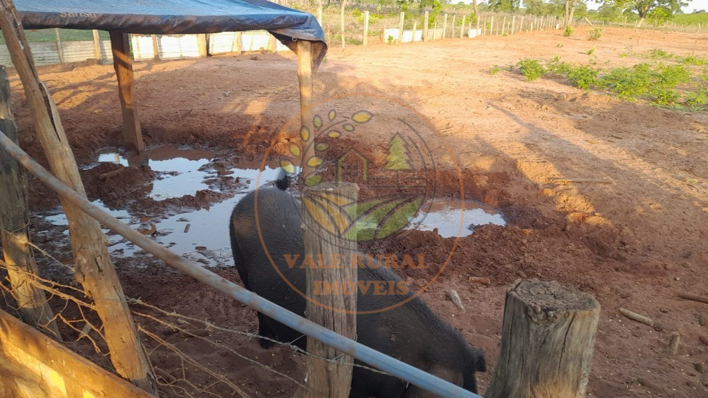 Fazenda, 2 quartos - Foto 27