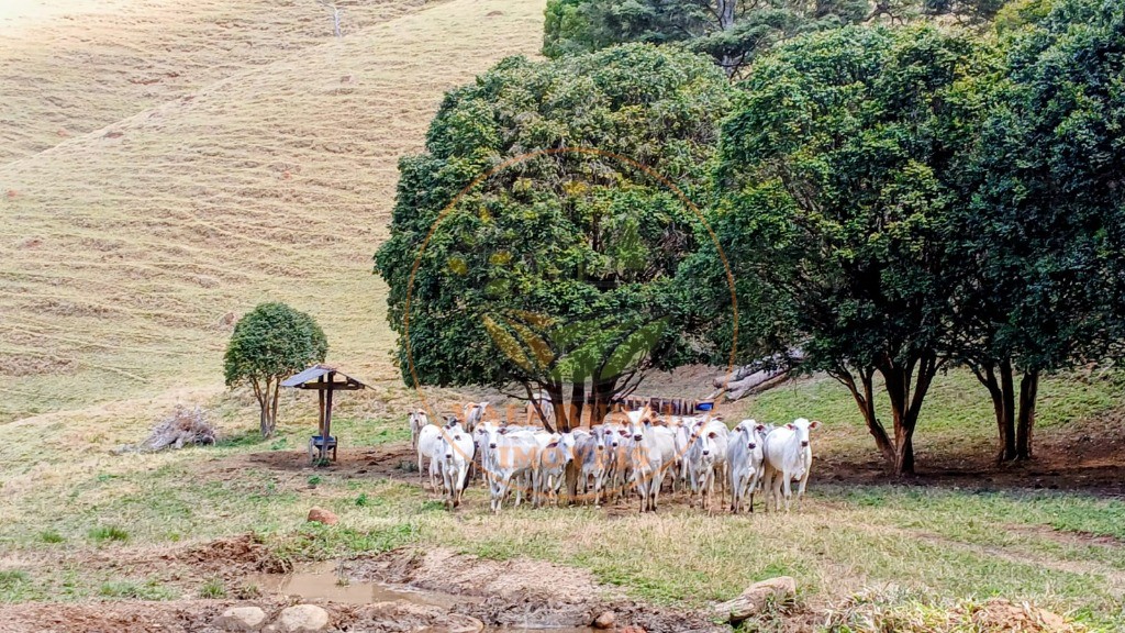 Fazenda, 2 quartos - Foto 2