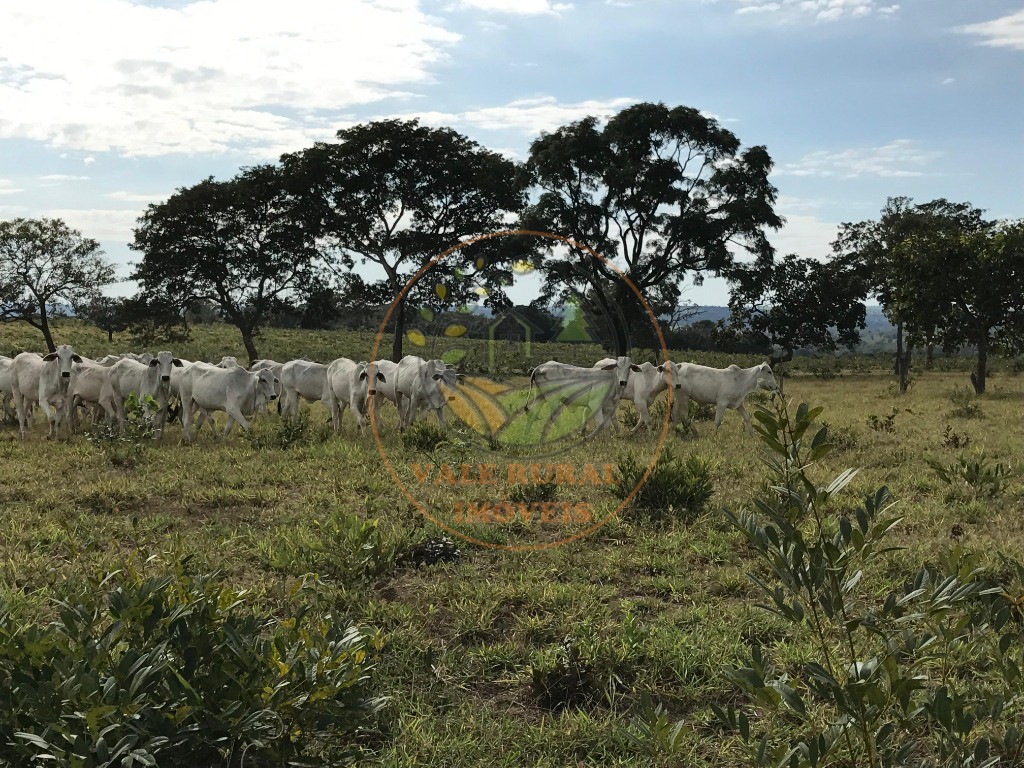 Fazenda, 2 quartos - Foto 8
