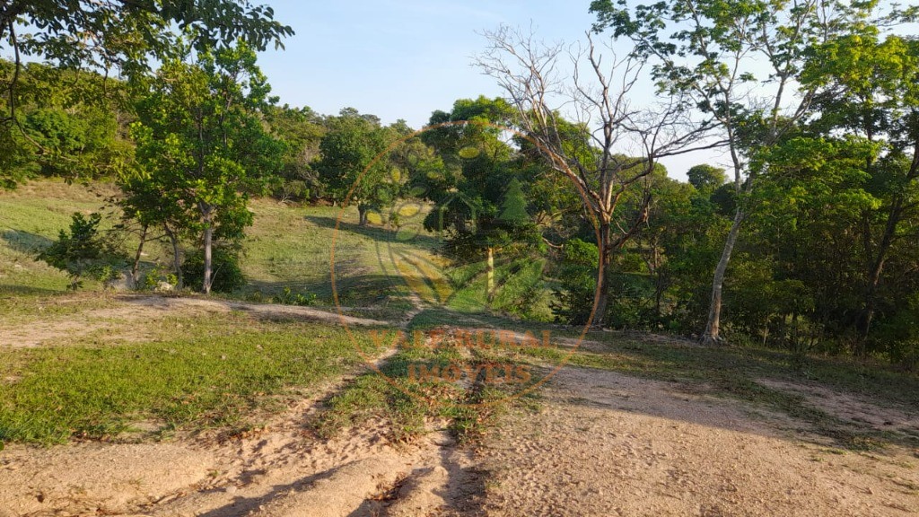 Fazenda, 2 quartos - Foto 21