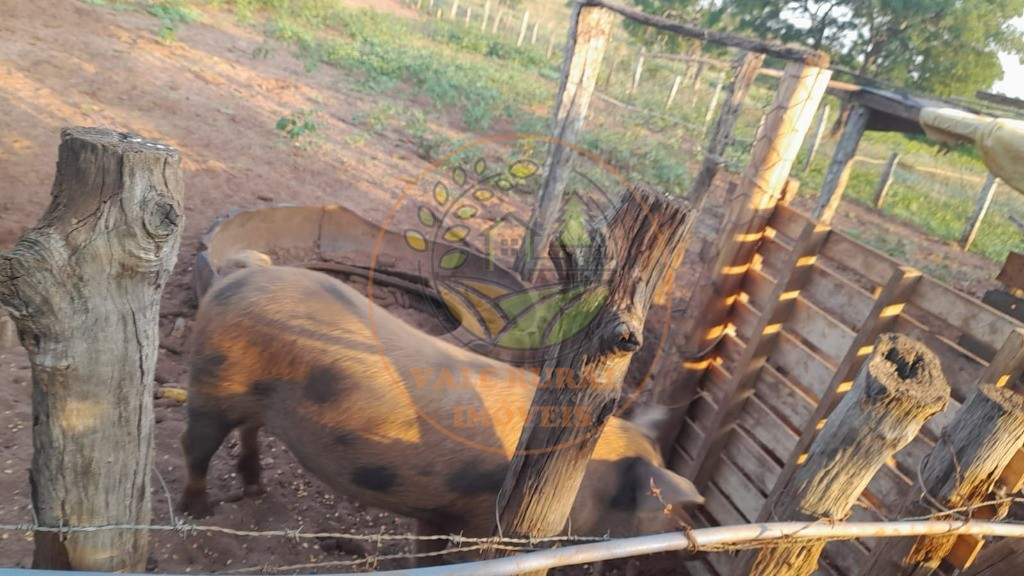 Fazenda, 2 quartos - Foto 26