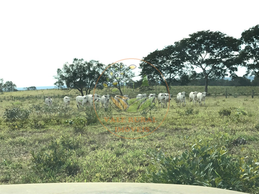 Fazenda, 2 quartos - Foto 10