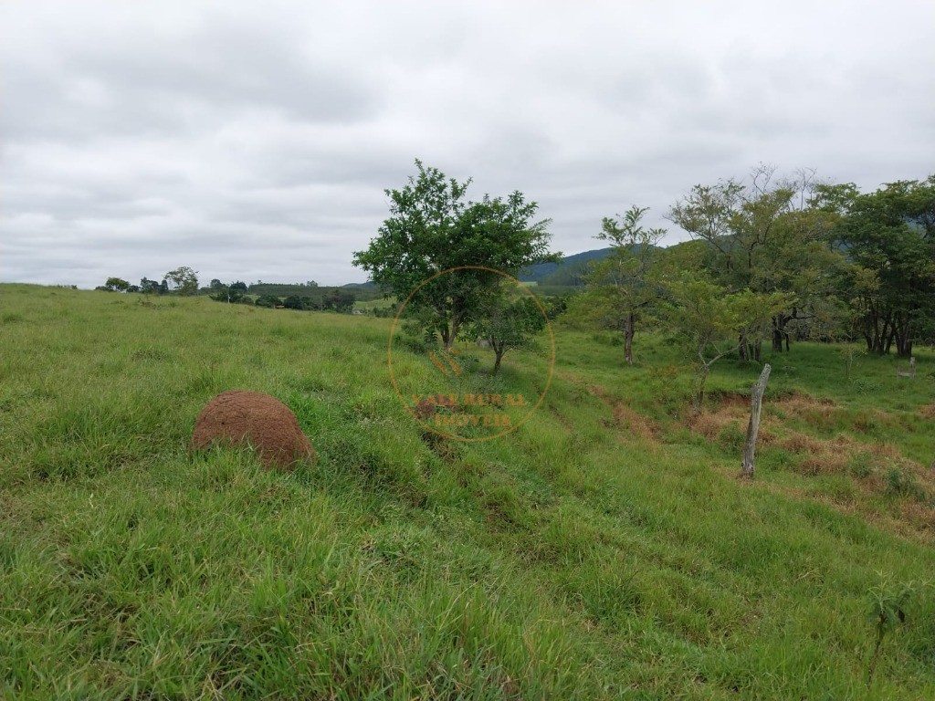 Fazenda, 5 quartos - Foto 34