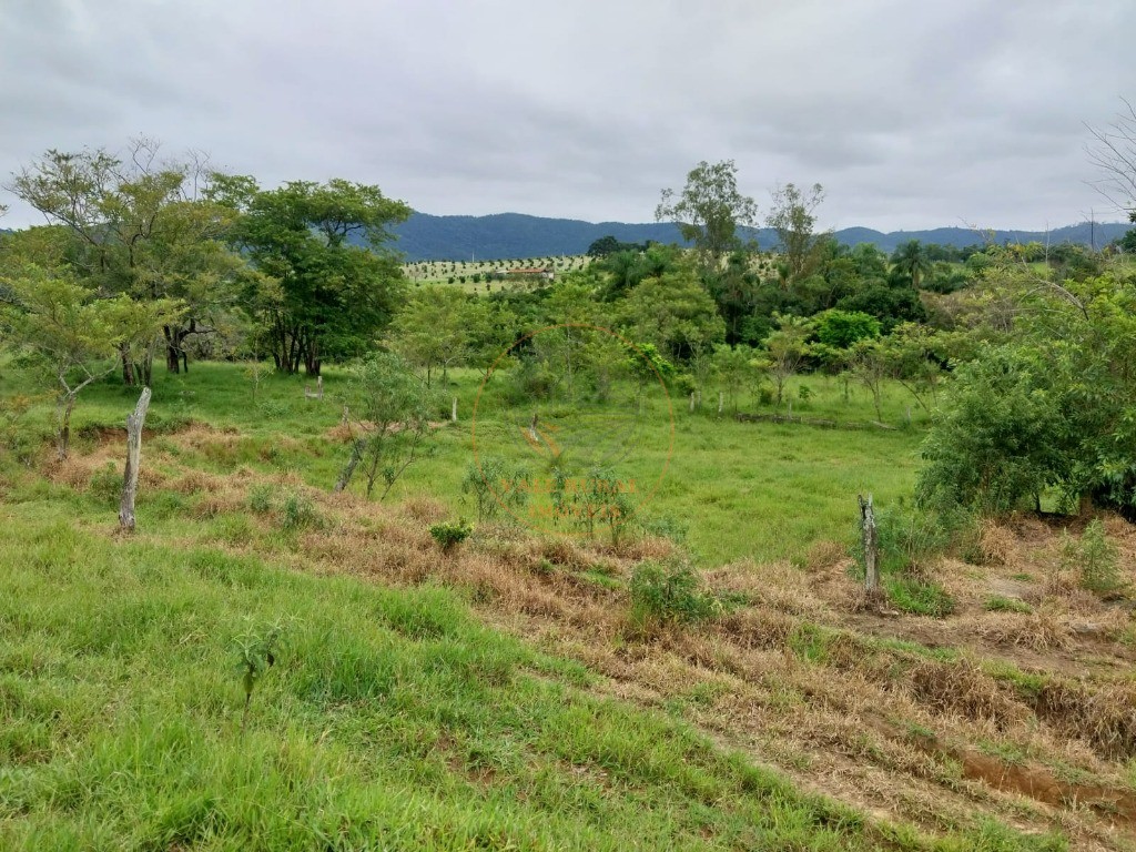 Fazenda, 5 quartos - Foto 33